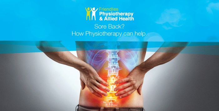 Back pain physiotherapy​